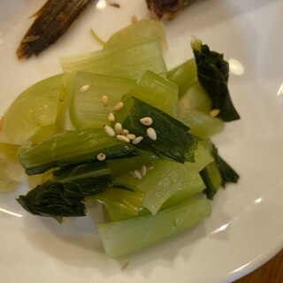 野沢菜香味炒め